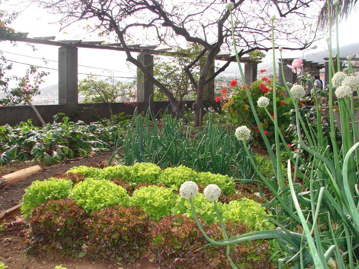 Quinta Do Bom Sucesso Appartement Funchal  Buitenkant foto