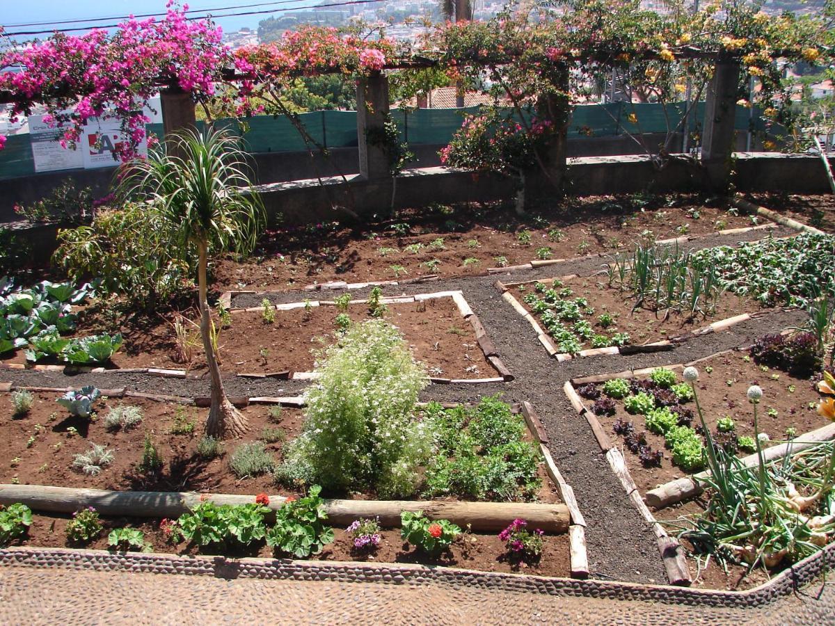Quinta Do Bom Sucesso Appartement Funchal  Buitenkant foto