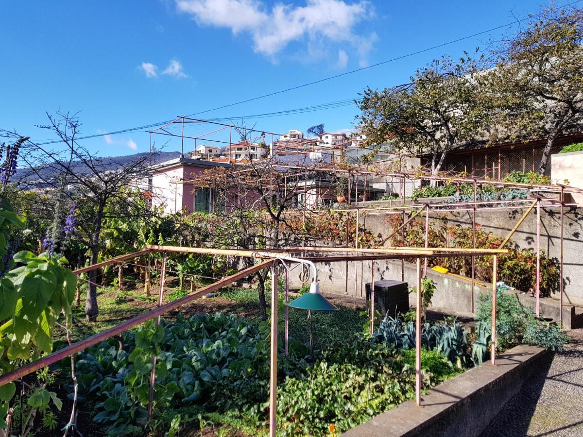 Quinta Do Bom Sucesso Appartement Funchal  Buitenkant foto